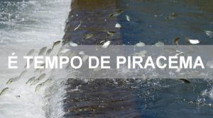 Piracema